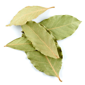 Bay Leaves, hand picked